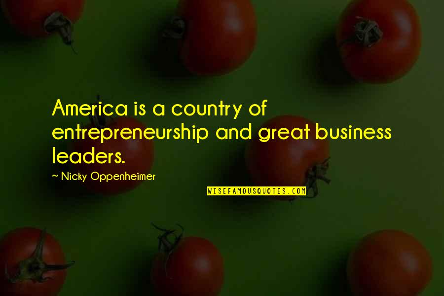 Great Business Leaders And Their Quotes By Nicky Oppenheimer: America is a country of entrepreneurship and great