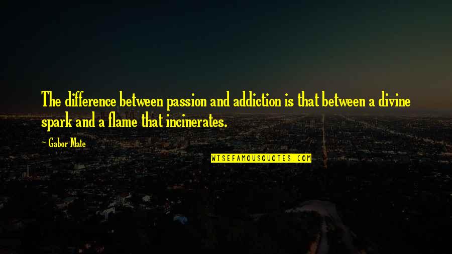 Great Chalkboard Quotes By Gabor Mate: The difference between passion and addiction is that