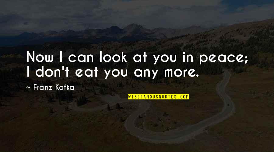 Great Charles Edward Montague Quotes By Franz Kafka: Now I can look at you in peace;