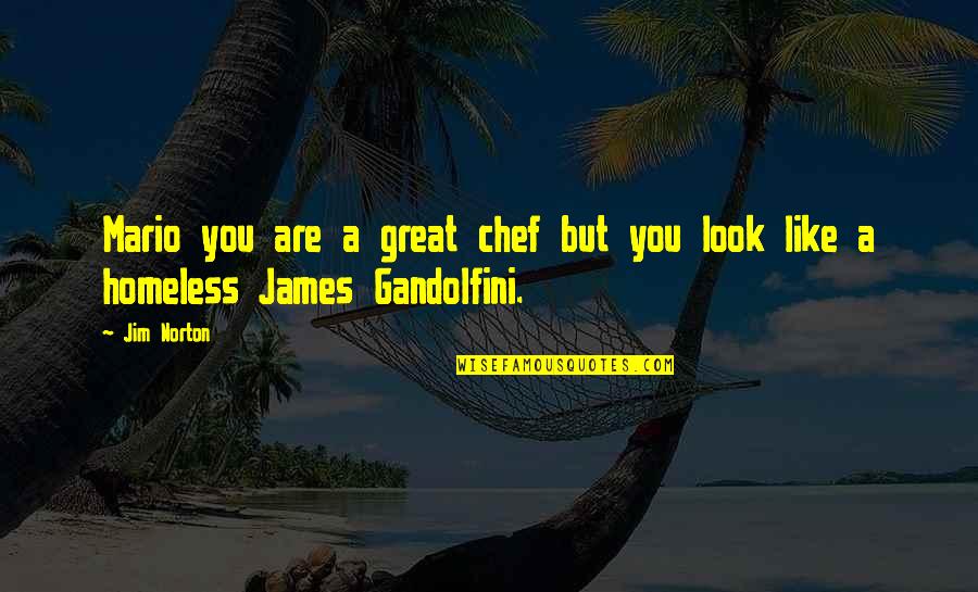 Great Chef Quotes By Jim Norton: Mario you are a great chef but you