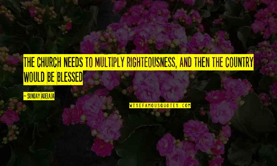 Great Christian Missionary Quotes By Sunday Adelaja: The church needs to multiply righteousness, and then