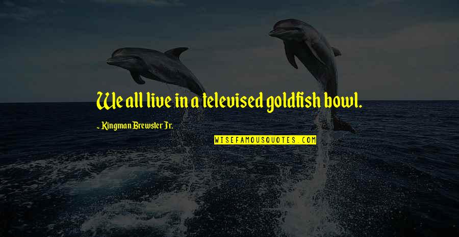 Great Comic Book Hero Quotes By Kingman Brewster Jr.: We all live in a televised goldfish bowl.