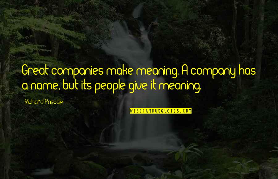 Great Companies Quotes By Richard Pascale: Great companies make meaning. A company has a