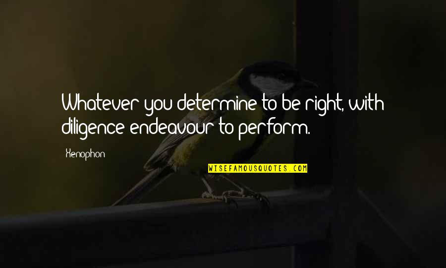 Great Degeneration Quotes By Xenophon: Whatever you determine to be right, with diligence