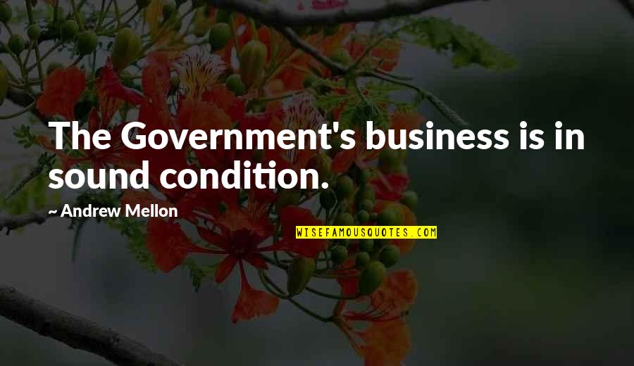 Great Depression Quotes By Andrew Mellon: The Government's business is in sound condition.