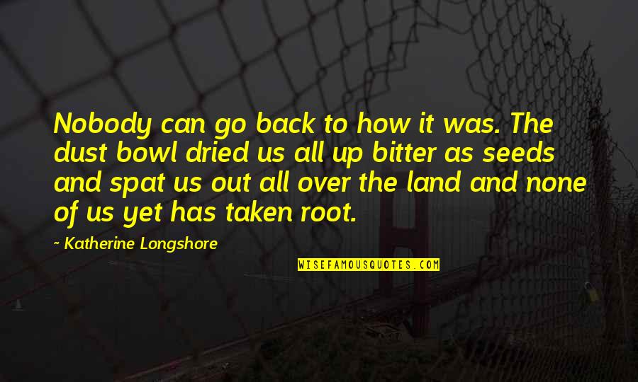 Great Depression Quotes By Katherine Longshore: Nobody can go back to how it was.