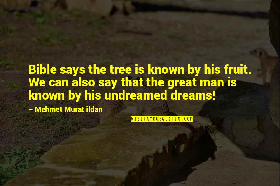 Great Dreams Quotes By Mehmet Murat Ildan: Bible says the tree is known by his Great Dreams Quotes By Mehmet Murat Ildan: Bible says the tree is known by his
