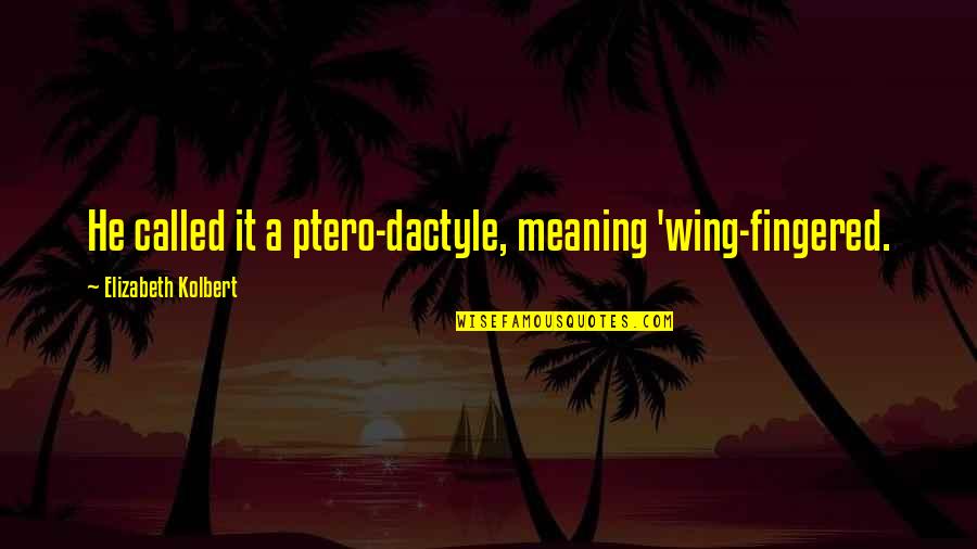 Great Electrical Engineering Quotes By Elizabeth Kolbert: He called it a ptero-dactyle, meaning 'wing-fingered.