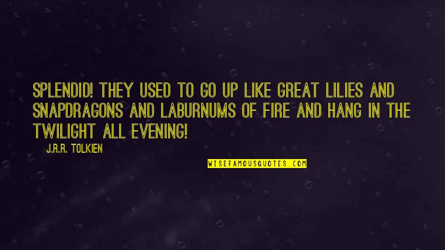 Great Evening Quotes By J.R.R. Tolkien: Splendid! They used to go up like great