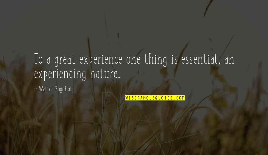 Great Experiences Quotes By Walter Bagehot: To a great experience one thing is essential,
