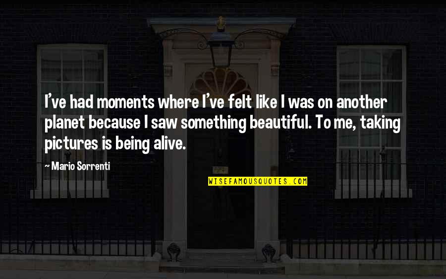 Great Fern Quotes By Mario Sorrenti: I've had moments where I've felt like I