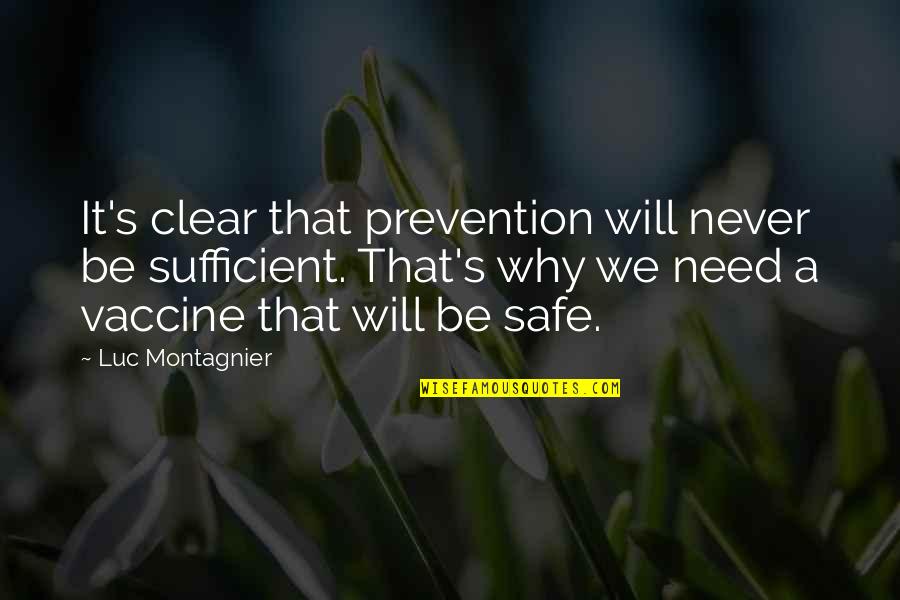 Great Flamenco Quotes By Luc Montagnier: It's clear that prevention will never be sufficient.