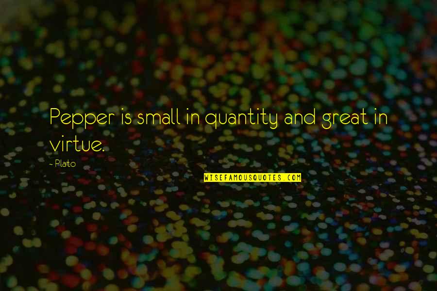 Great Food Quotes By Plato: Pepper is small in quantity and great in