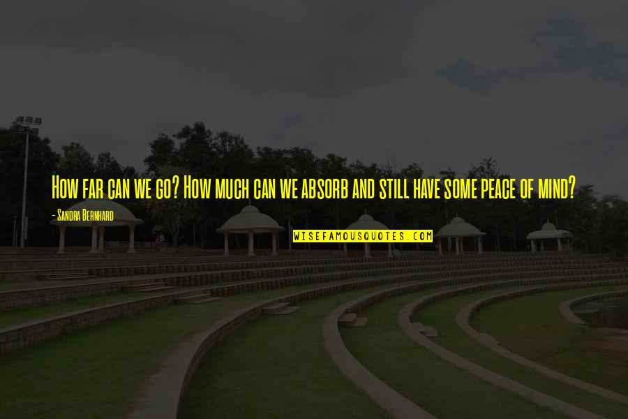 Great Friday Quotes By Sandra Bernhard: How far can we go? How much can