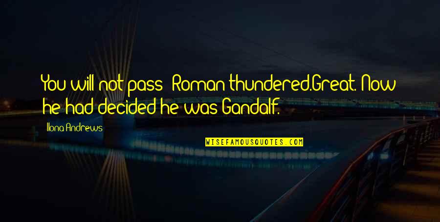 Great Funny Quotes By Ilona Andrews: You will not pass! Roman thundered.Great. Now he