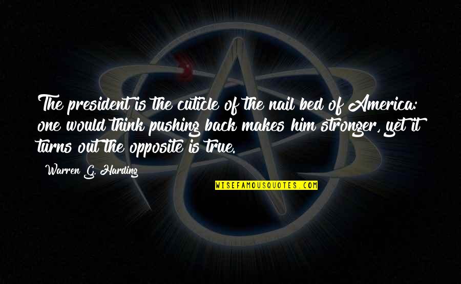 Great Funny Senior Quotes By Warren G. Harding: The president is the cuticle of the nail Great Funny Senior Quotes By Warren G. Harding: The president is the cuticle of the nail