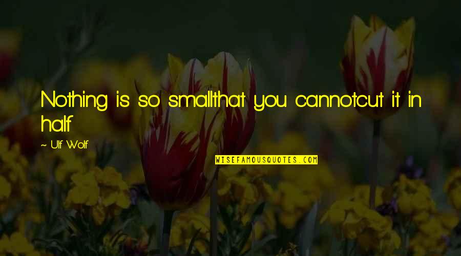 Great Gatsby Nouveau Riche Quotes By Ulf Wolf: Nothing is so smallthat you cannotcut it in