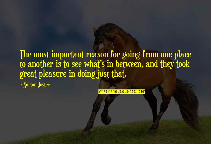 Great Going Out Quotes By Norton Juster: The most important reason for going from one