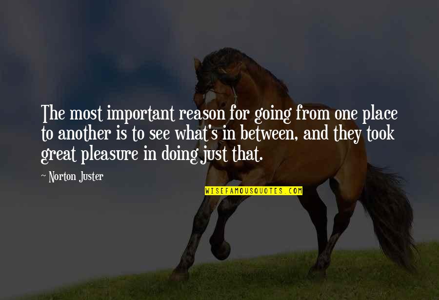 Great Going Quotes By Norton Juster: The most important reason for going from one