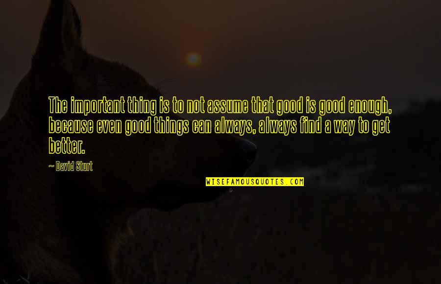 Great Good Thing Quotes By David Sturt: The important thing is to not assume that