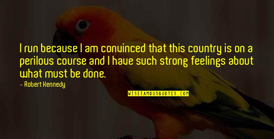 Great Grammar Quotes By Robert Kennedy: I run because I am convinced that this Great Grammar Quotes By Robert Kennedy: I run because I am convinced that this