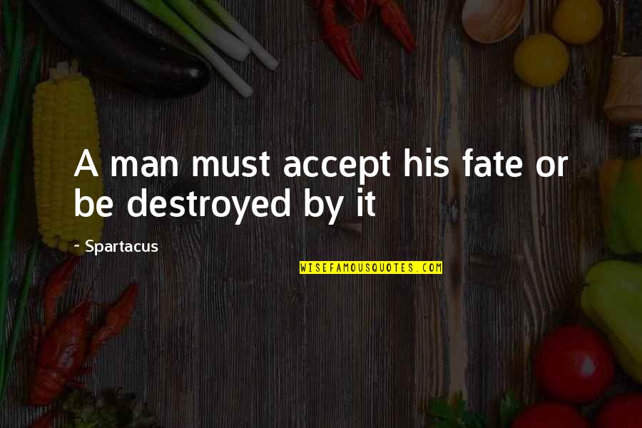 Great Grammar Quotes By Spartacus: A man must accept his fate or be Great Grammar Quotes By Spartacus: A man must accept his fate or be