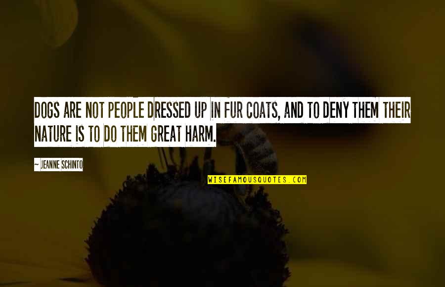 Great Harm Quotes By Jeanne Schinto: Dogs are not people dressed up in fur
