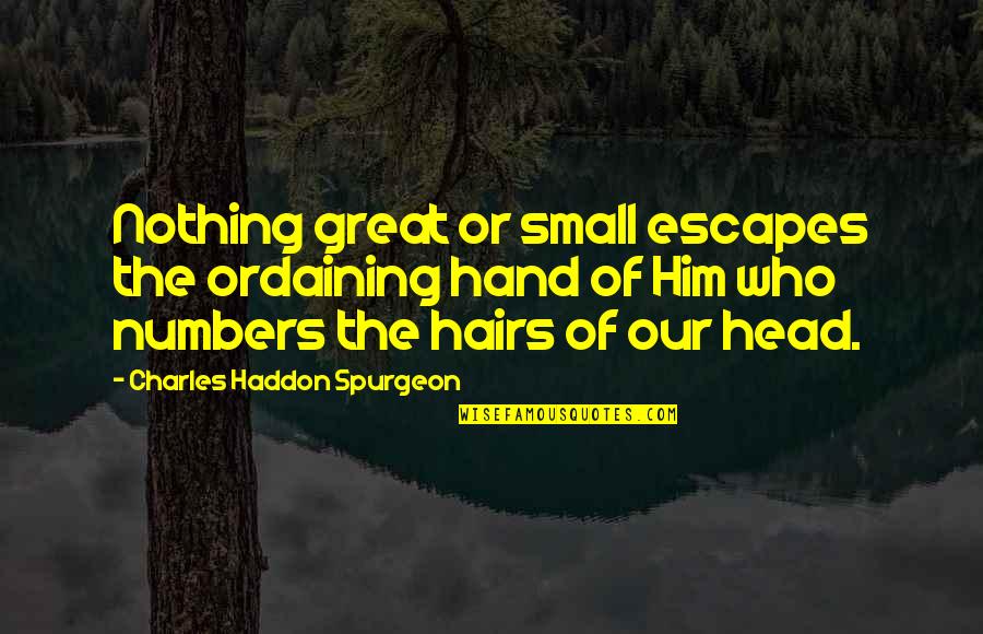 Great Head Quotes By Charles Haddon Spurgeon: Nothing great or small escapes the ordaining hand
