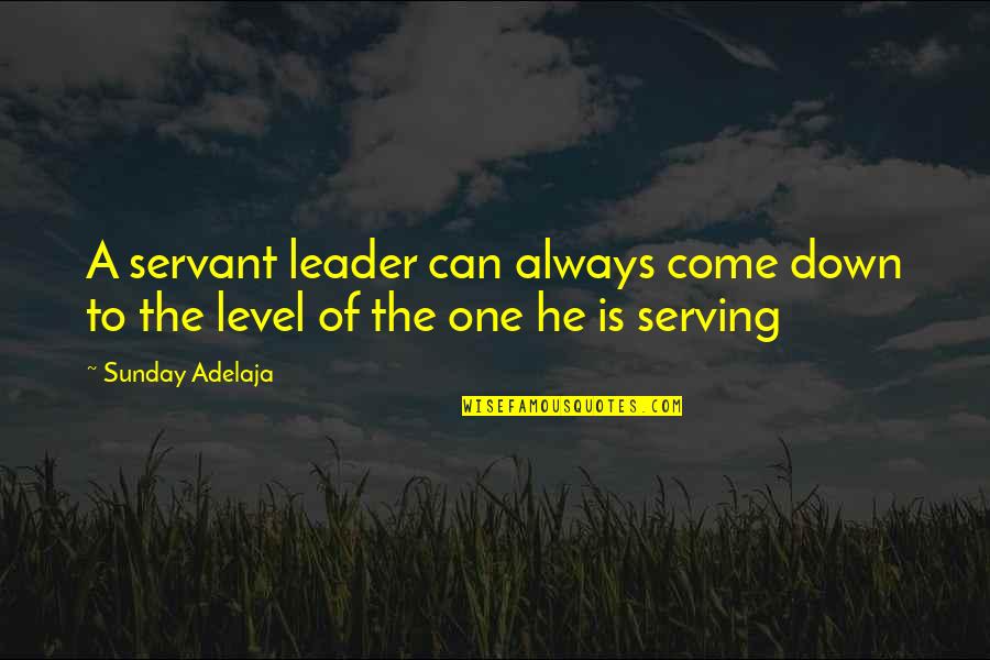 Great Hiatus Quotes By Sunday Adelaja: A servant leader can always come down to