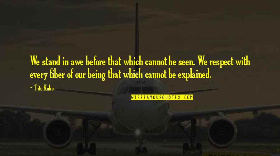 Great Inspirational Sayings And Quotes By Tite Kubo: We stand in awe before that which cannot Great Inspirational Sayings And Quotes By Tite Kubo: We stand in awe before that which cannot