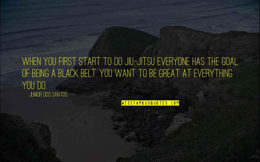 Great Jiu Jitsu Quotes By Junior Dos Santos: When you first start to do jiu-jitsu everyone