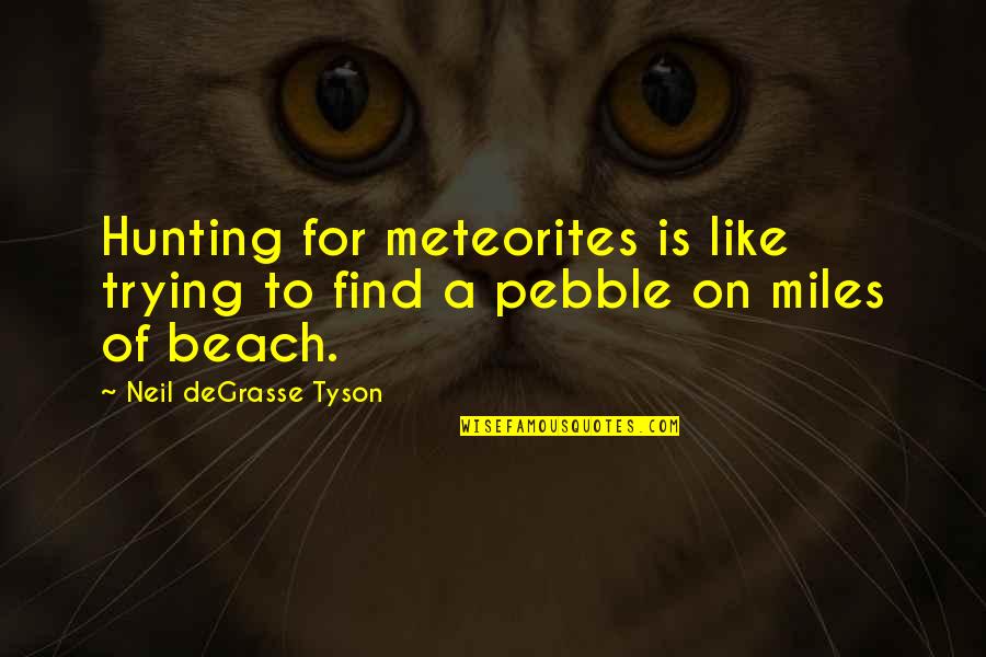 Great Liberalism Quotes By Neil DeGrasse Tyson: Hunting for meteorites is like trying to find