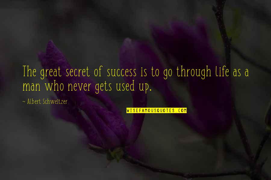 Great Life Success Quotes By Albert Schweitzer: The great secret of success is to go