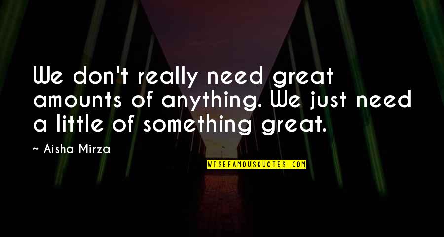 Great Little Life Quotes By Aisha Mirza: We don't really need great amounts of anything.