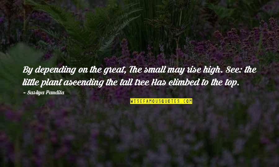 Great Little Quotes By Saskya Pandita: By depending on the great, The small may