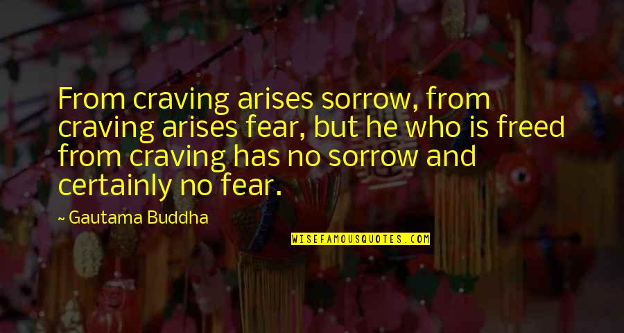 Great Lsu Quotes By Gautama Buddha: From craving arises sorrow, from craving arises fear,