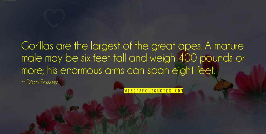 Great Male Quotes By Dian Fossey: Gorillas are the largest of the great apes.