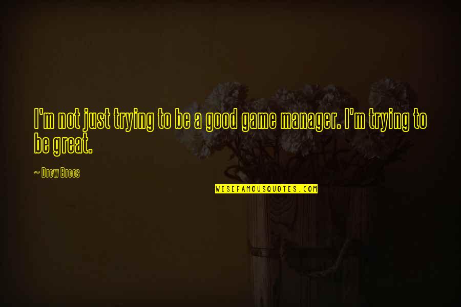Great Managers Quotes By Drew Brees: I'm not just trying to be a good