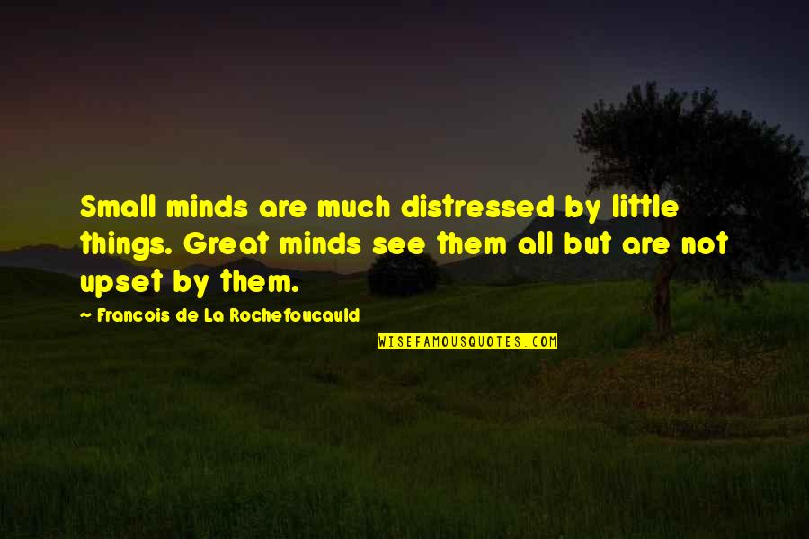 Great Mind Quotes By Francois De La Rochefoucauld: Small minds are much distressed by little things.