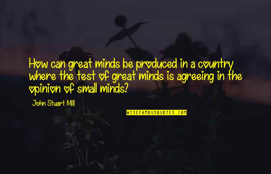 Great Minds Quotes By John Stuart Mill: How can great minds be produced in a