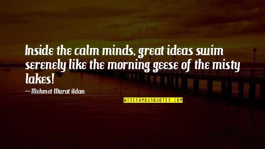 Great Minds Quotes By Mehmet Murat Ildan: Inside the calm minds, great ideas swim serenely
