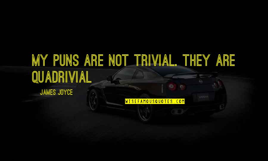 Great One Sided Love Quotes By James Joyce: My puns are not trivial. They are quadrivial