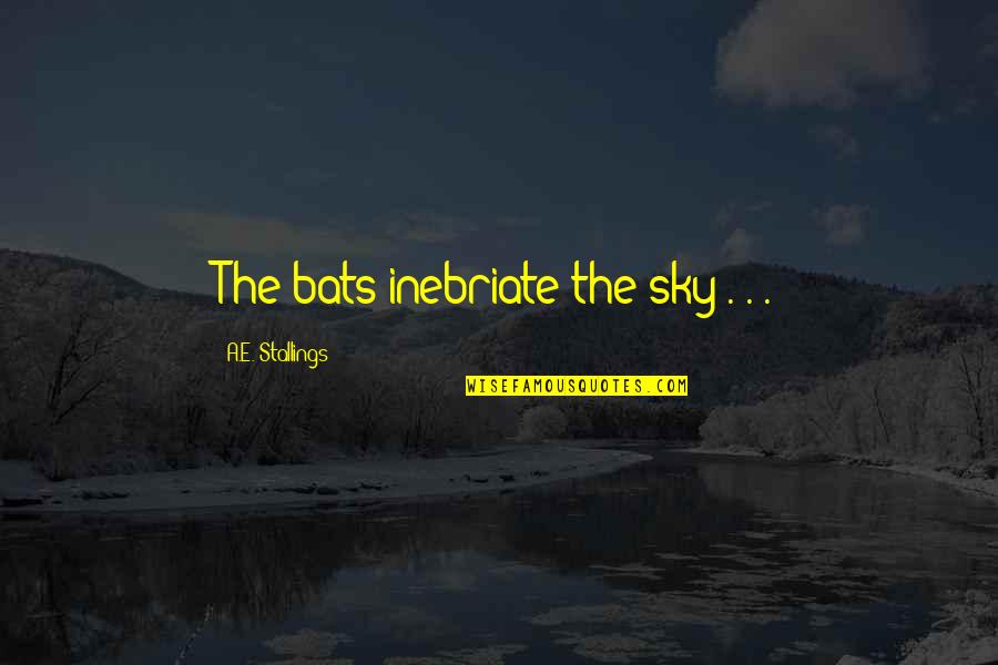 Great Orientation Quotes By A.E. Stallings: The bats inebriate the sky . . .