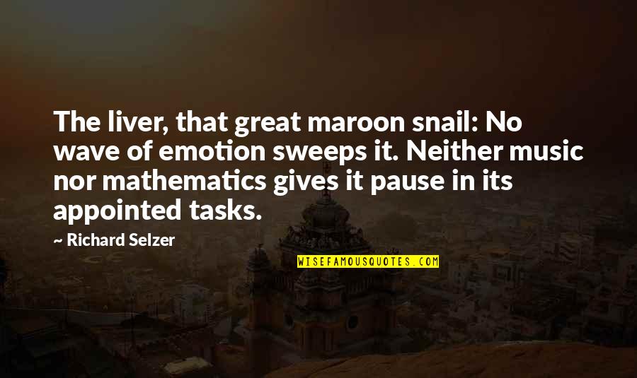 Great Pause Quotes By Richard Selzer: The liver, that great maroon snail: No wave