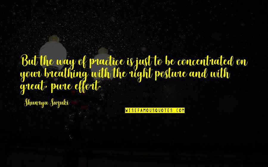Great Practice Quotes By Shunryu Suzuki: But the way of practice is just to Great Practice Quotes By Shunryu Suzuki: But the way of practice is just to