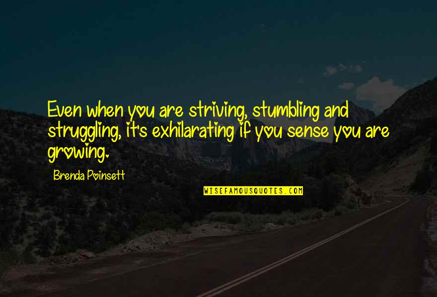 Great Preppy Quotes By Brenda Poinsett: Even when you are striving, stumbling and struggling,