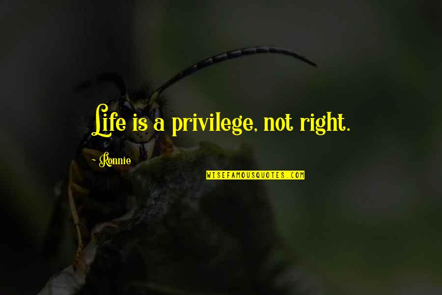 Great Presenter Quotes By Ronnie: Life is a privilege, not right.