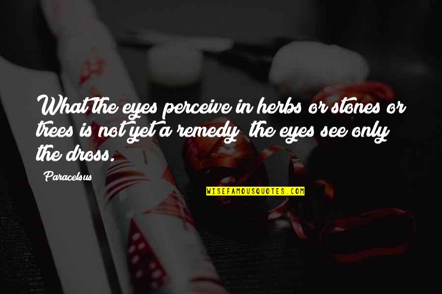 Great Put Downs Quotes By Paracelsus: What the eyes perceive in herbs or stones