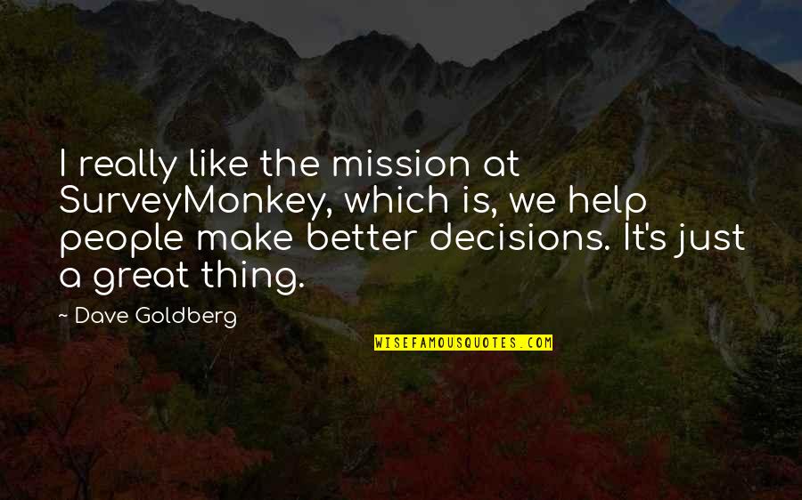 Great Quotes By Dave Goldberg: I really like the mission at SurveyMonkey, which