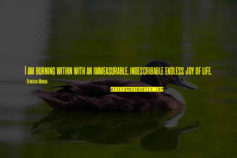Great Sad Love Quotes By Debasish Mridha: I am burning within with an immeasurable, indescribable Great Sad Love Quotes By Debasish Mridha: I am burning within with an immeasurable, indescribable